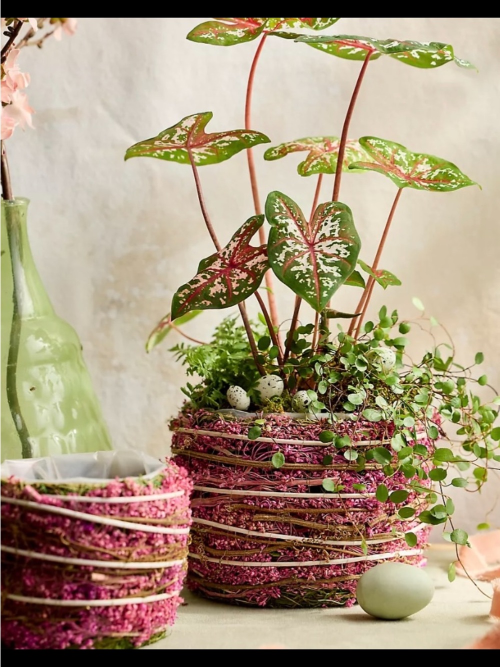 Terrain Pink & Green Woven Decorative Planter with Natural Accents. 7” large.